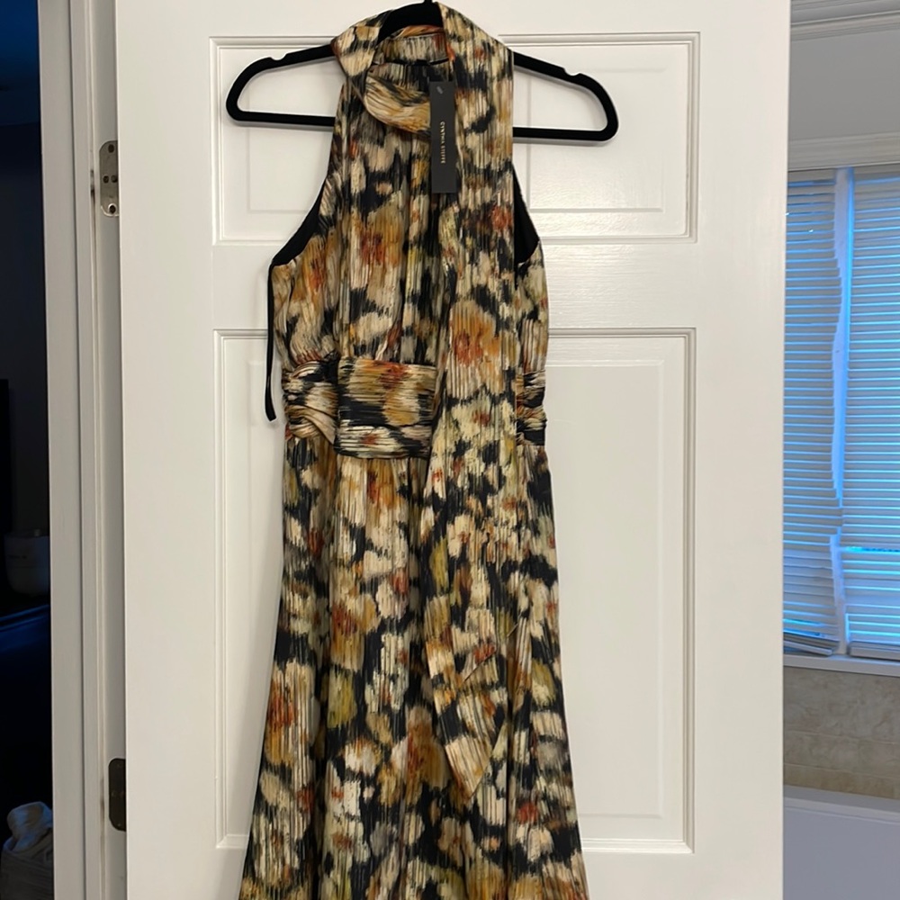Cynthia Steffens dress nwt